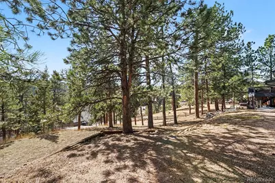 28094 Harebell Lane, Evergreen, CO 80439 - Photo 28