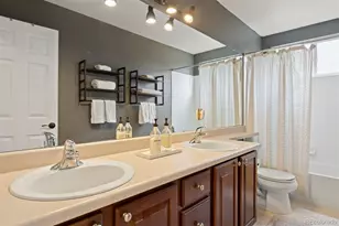 1663 Rose Petal Ln, Castle Rock, CO 80109 - Photo 34