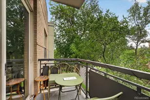1700 N Emerson Street, Denver, CO 80218 - Photo 12