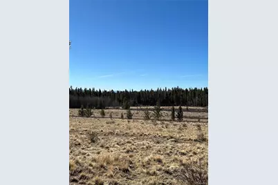 247 Thickspike, Fairplay, CO 80440 - Photo 6