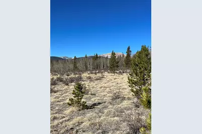 247 Thickspike, Fairplay, CO 80440 - Photo 1