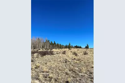 247 Thickspike, Fairplay, CO 80440 - Photo 2