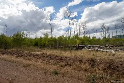 Lot 1316 Biaggini Lane, Fort Garland, CO 81133 - Photo 6