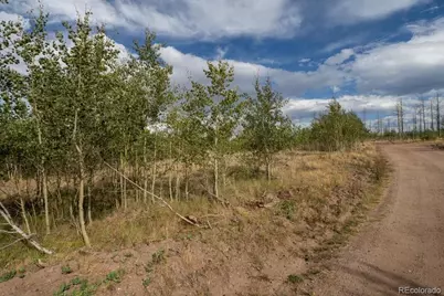 Lot 1316 Biaggini Lane, Fort Garland, CO 81133 - Photo 4