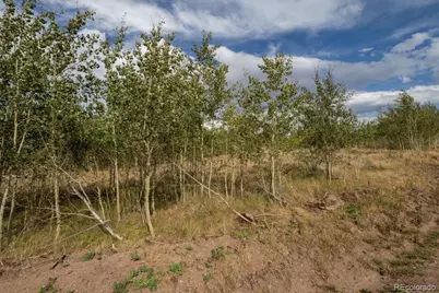 Lot 1316 Biaggini Lane, Fort Garland, CO 81133 - Photo 2