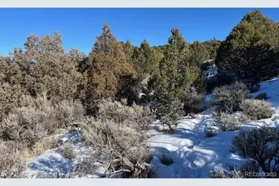 Lot 7860 Platten Road, Fort Garland, CO 81133 - Photo 16