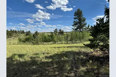 833 Angus Circle, Hartsel, CO 80449 - Photo 16