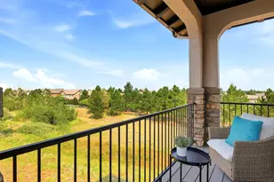 10523 Morningdew Ct, Highlands Ranch, CO 80126 - Photo 32