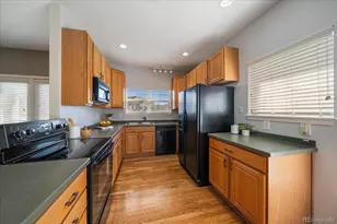 9301 Amison Cir, Parker, CO 80134 - Photo 12