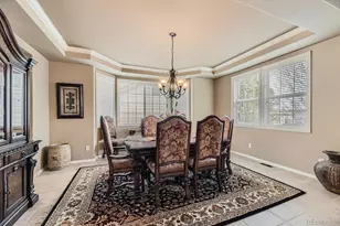 10776 Hillsboro Cir, Parker, CO 80134 - Photo 8