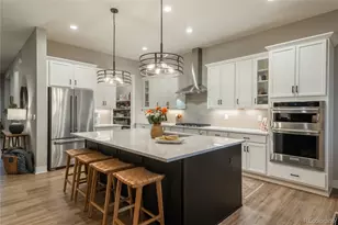 5665 Shadescale Way, Castle Rock, CO 80104 - Photo 14