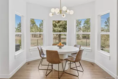 1081 Foursome Drive, Castle Rock, CO 80104 - Photo 18