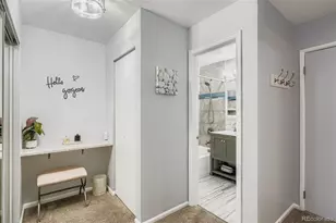 1243 N Washington St, Denver, CO 80203 - Photo 20