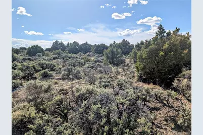 35 Acres Elk Park Road, San Luis, CO 81152 - Photo 8