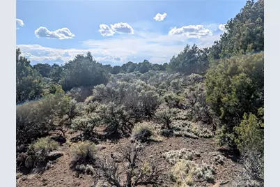 35 Acres Elk Park Road, San Luis, CO 81152 - Photo 28