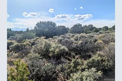 35 Acres Elk Park Road, San Luis, CO 81152 - Photo 20
