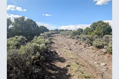 35 Acres Elk Park Road, San Luis, CO 81152 - Photo 18