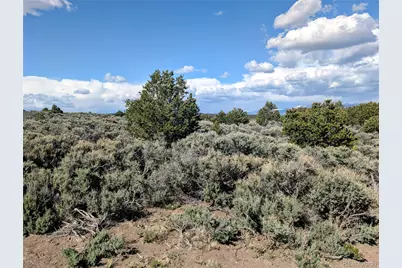35 Acres Elk Park Road, San Luis, CO 81152 - Photo 14