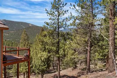 461 Hitchrack Road, Bailey, CO 80421 - Photo 34