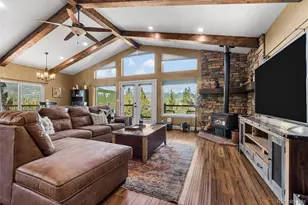 461 Hitchrack Rd, Bailey, CO 80421 - Photo 2