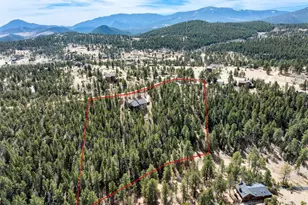 21 Hummingbird Ct, Bailey, CO 80421 - Photo 48