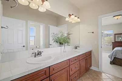 10528 Rivington Court, Lone Tree, CO 80124 - Photo 28
