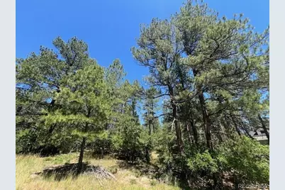 773 Copper Fox Place, Larkspur, CO 80118 - Photo 12