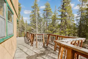 89 Prospectors Way, Bailey, CO 80421 - Photo 22