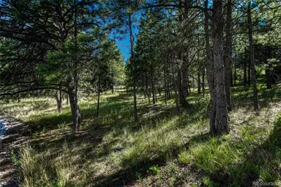 1103 Greenland Forest Drive, Monument, CO 80132 - Photo 46