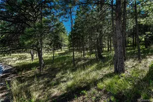 1103 Greenland Forest Dr, Monument, CO 80132 - Photo 46