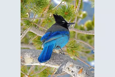 000 Holiday Way, Crestone, CO 81131 - Photo 20