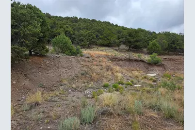 0 Joy Road, San Luis, CO 81152 - Photo 8
