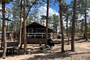90 Letitia Dr, Red Feather Lakes, CO 80545 - Photo 2