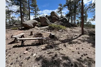 90 Letitia Drive, Red Feather Lakes, CO 80545 - Photo 12