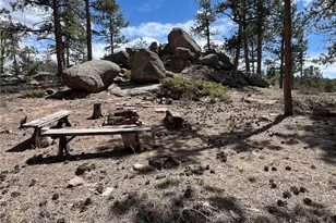 90 Letitia Dr, Red Feather Lakes, CO 80545 - Photo 12