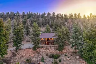 1416 Bonell Dr, Fairplay, CO 80440 - Photo 16
