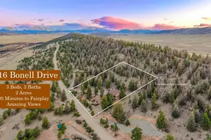 1416 Bonell Dr, Fairplay, CO 80440 - Photo 6