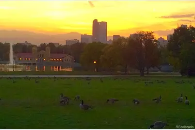 2551 N York Street, Denver, CO 80205 - Photo 44