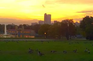 2551 N York St, Denver, CO 80205 - Photo 44