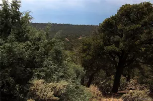 2252 White Tail Rd #2 Circle, San Luis, CO 81152 - Photo 44