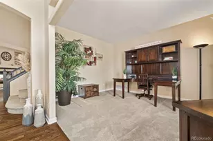 3550 Mallard Dr, Highlands Ranch, CO 80126 - Photo 6