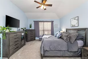 3550 Mallard Dr, Highlands Ranch, CO 80126 - Photo 16