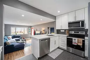 4827 Meade St, Denver, CO 80221 - Photo 8