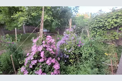 4641 Dixon Drive, Westminster, CO 80031 - Photo 34