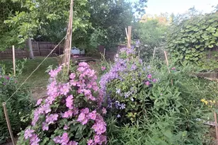 4641 Dixon Dr, Westminster, CO 80031 - Photo 34