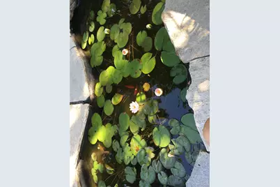 4641 Dixon Drive, Westminster, CO 80031 - Photo 30