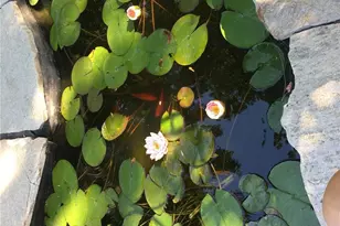 4641 Dixon Dr, Westminster, CO 80031 - Photo 30