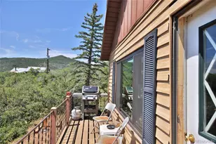 15699 Aspen Glenn Ln, Collbran, CO 81624 - Photo 24