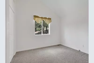 367 Moore Street, Bailey, CO 80421 - Photo 18