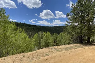 367 Moore St, Bailey, CO 80421 - Photo 26